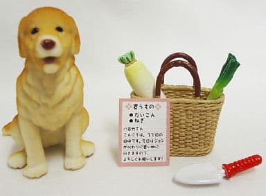 RE-MENT Dogs Enjoy a Happy Life / ぷちどうぶつシリーズ わんこの楽しい生活