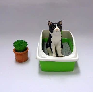 RE-MENT My Cats (Proud of My Cats) / ぷちどうぶつシリーズ うちの自慢のにゃんこ