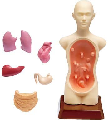 RE-MENT Petit Sample Series Our Science Room / ぼくらの理科室