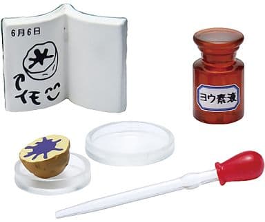 RE-MENT Petit Sample Series Our Science Room / ぼくらの理科室