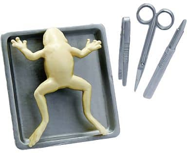 RE-MENT Petit Sample Series Our Science Room / ぼくらの理科室